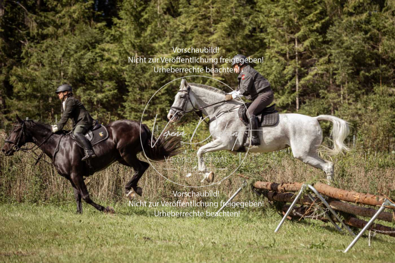 Gundelsdorf1_2025_80 Gundelsdorf1_2025_80