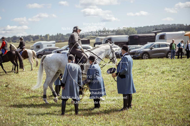 Gundelsdorf1_2025_81 Gundelsdorf1_2025_81