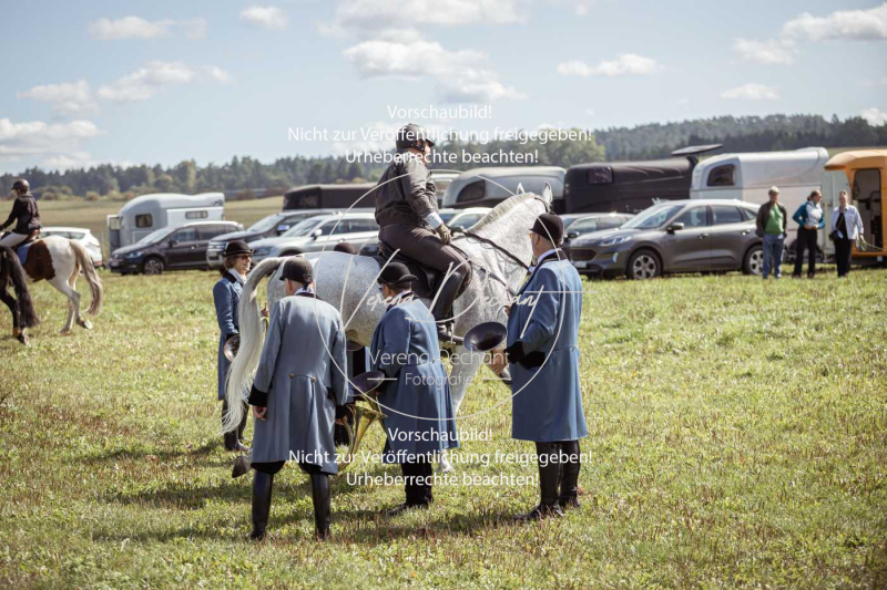 Gundelsdorf1_2025_82 Gundelsdorf1_2025_82