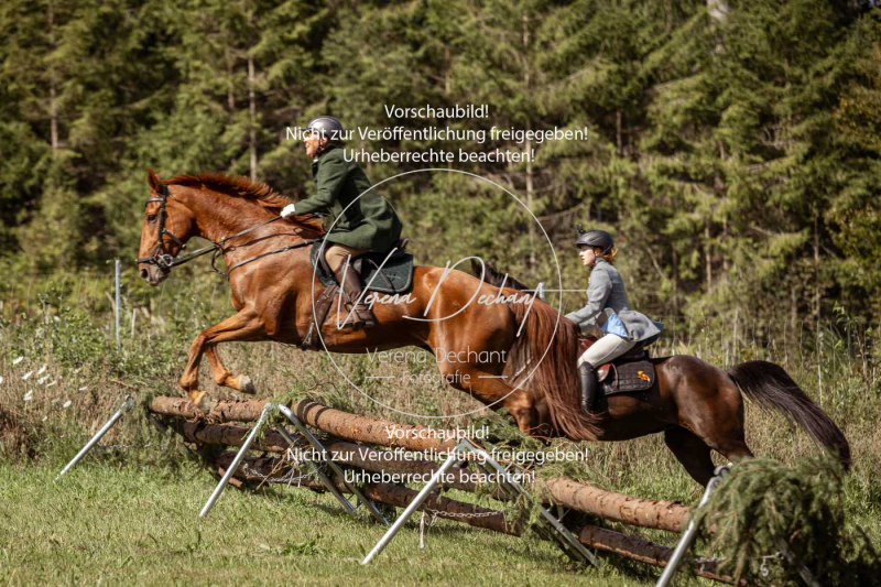 Gundelsdorf1_2025_83 Gundelsdorf1_2025_83