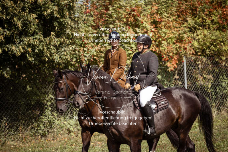 Gundelsdorf1_2025_84 Gundelsdorf1_2025_84