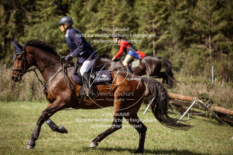 Gundelsdorf1_2025_85 Gundelsdorf1_2025_85