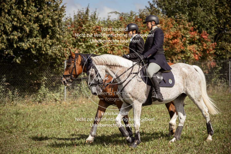 Gundelsdorf1_2025_86 Gundelsdorf1_2025_86