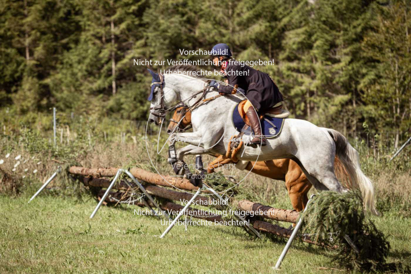 Gundelsdorf1_2025_87 Gundelsdorf1_2025_87