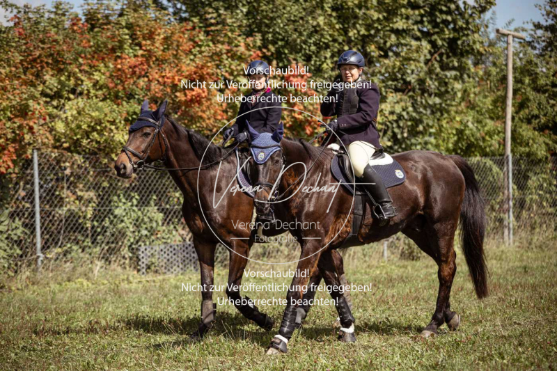 Gundelsdorf1_2025_89 Gundelsdorf1_2025_89