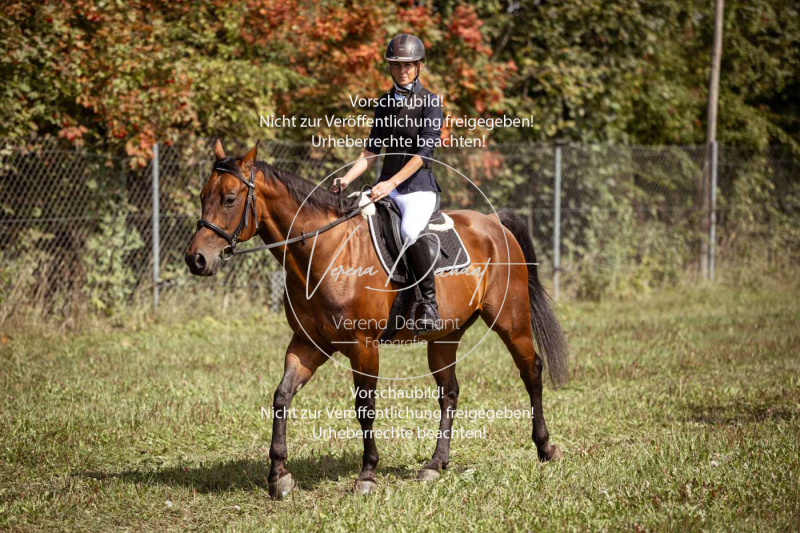 Gundelsdorf1_2025_9 Gundelsdorf1_2025_9