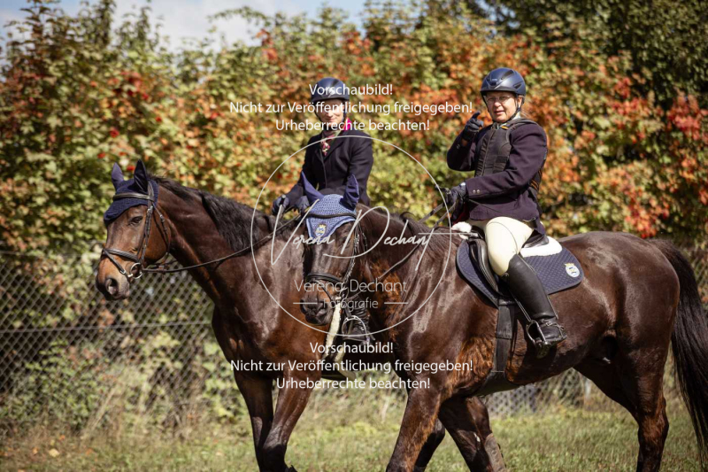 Gundelsdorf1_2025_90 Gundelsdorf1_2025_90