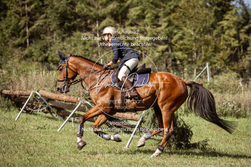 Gundelsdorf1_2025_91 Gundelsdorf1_2025_91