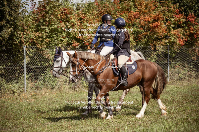 Gundelsdorf1_2025_92 Gundelsdorf1_2025_92