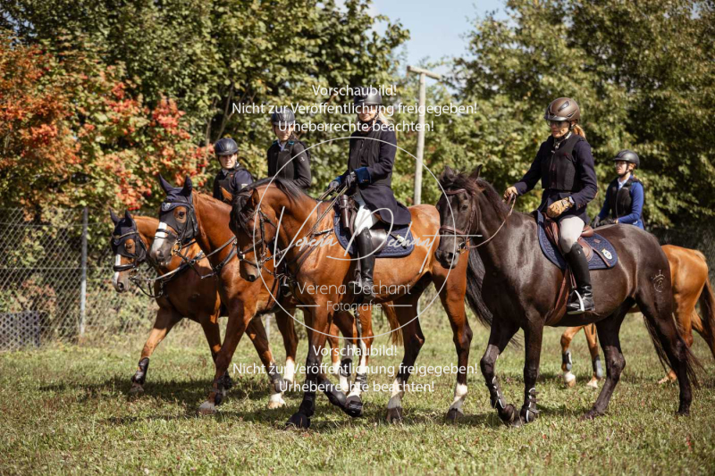 Gundelsdorf1_2025_93 Gundelsdorf1_2025_93