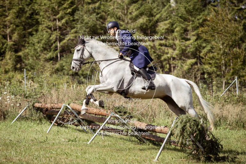 Gundelsdorf1_2025_94 Gundelsdorf1_2025_94