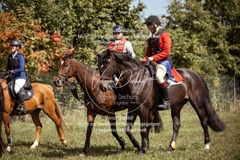 Gundelsdorf1_2025_95 Gundelsdorf1_2025_95