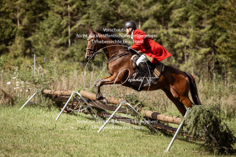 Gundelsdorf1_2025_96 Gundelsdorf1_2025_96