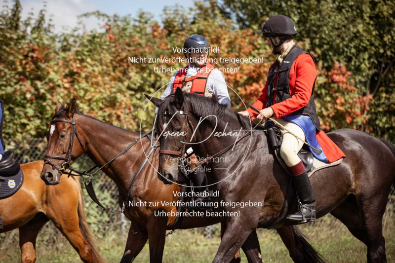 Gundelsdorf1_2025_97 Gundelsdorf1_2025_97