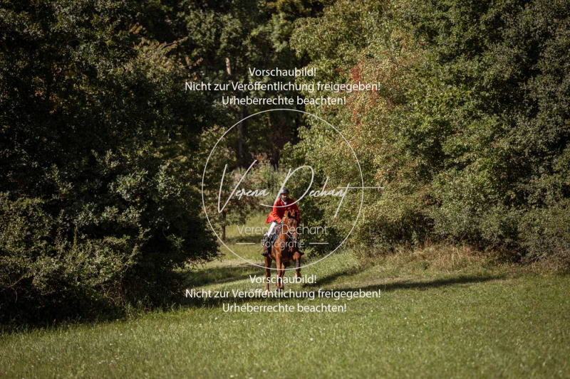 Gundelsdorf1_2025_98 Gundelsdorf1_2025_98