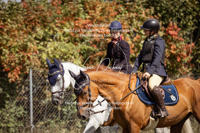 Gundelsdorf1_2025_99 Gundelsdorf1_2025_99