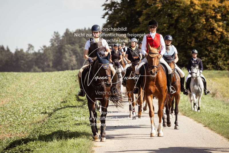 Schleppjagd_Gundelsdorf-106