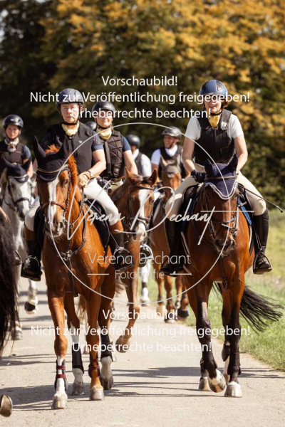 Schleppjagd_Gundelsdorf-107