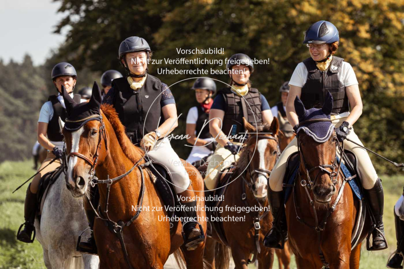 Schleppjagd_Gundelsdorf-108