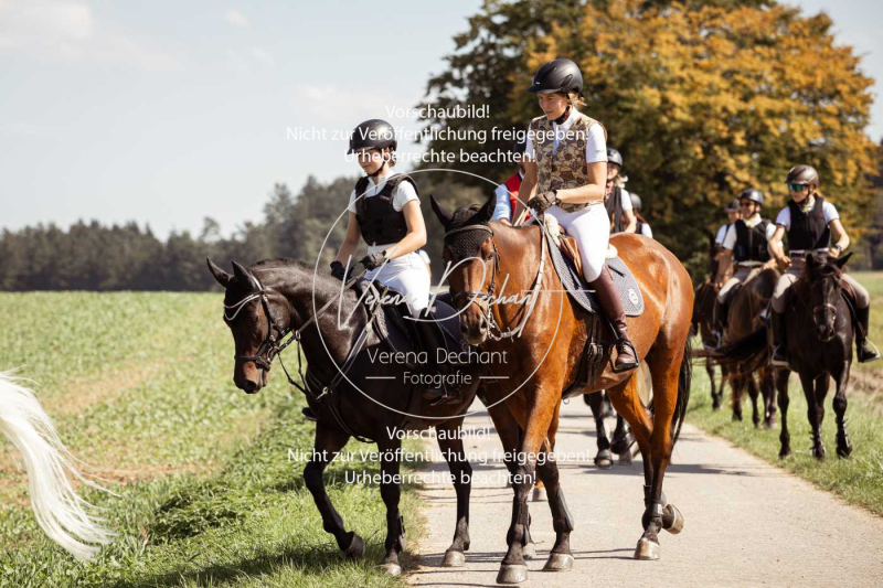 Schleppjagd_Gundelsdorf-111