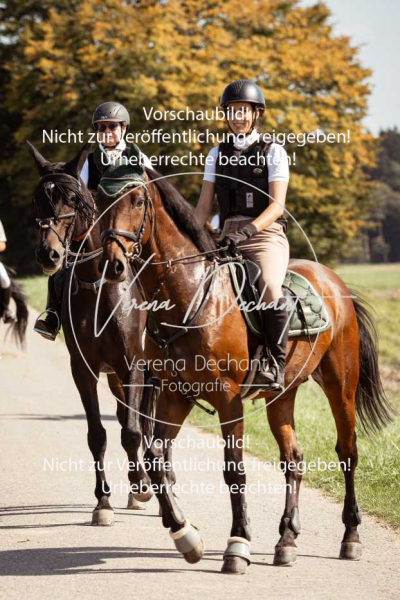 Schleppjagd_Gundelsdorf-115