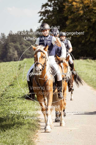 Schleppjagd_Gundelsdorf-116