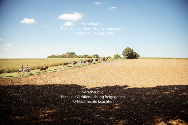 Schleppjagd_Gundelsdorf-162