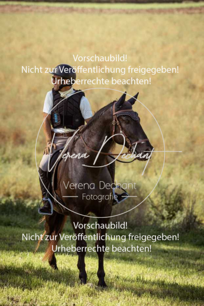 Schleppjagd_Gundelsdorf-174