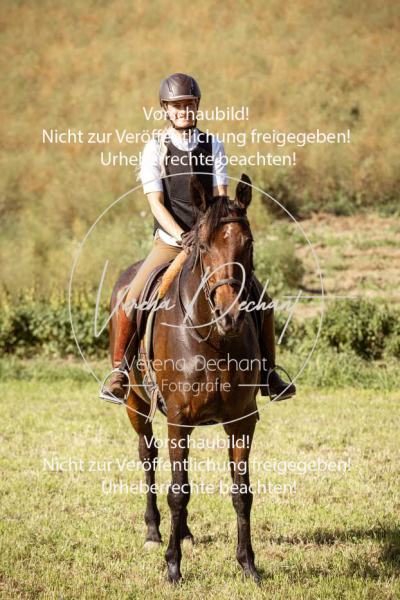 Schleppjagd_Gundelsdorf-178