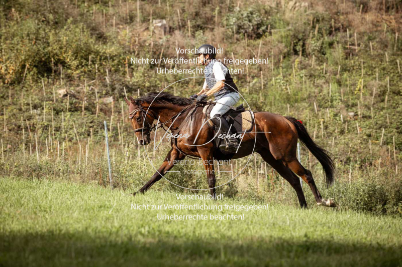 Schleppjagd_Gundelsdorf-221