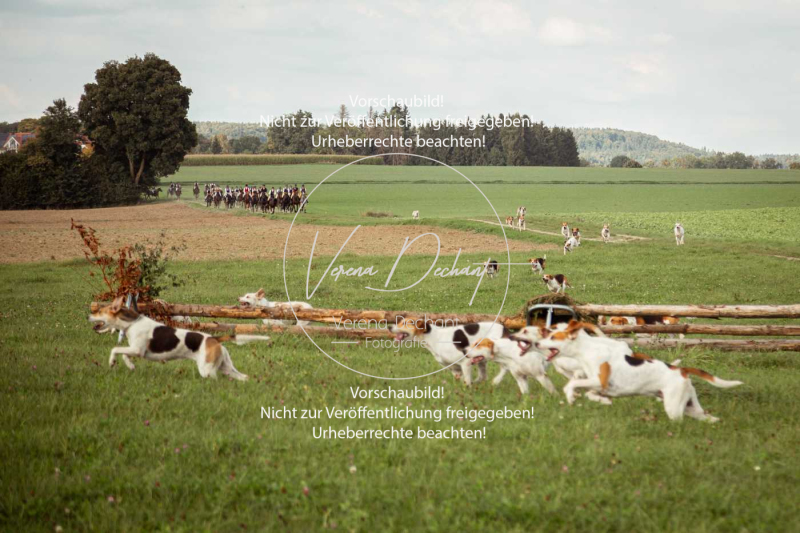 Schleppjagd_Gundelsdorf-227