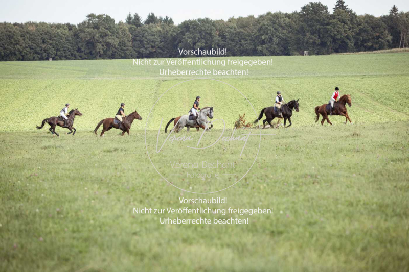 Schleppjagd_Gundelsdorf-248