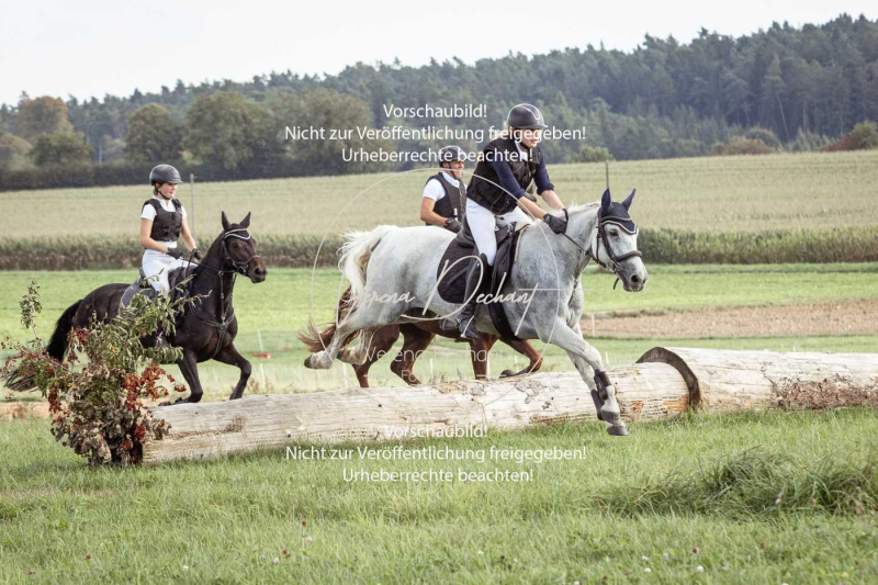 Schleppjagd_Gundelsdorf-256