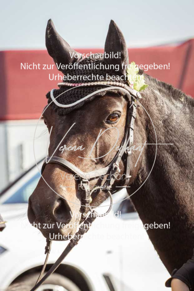 Schleppjagd_Gundelsdorf-308