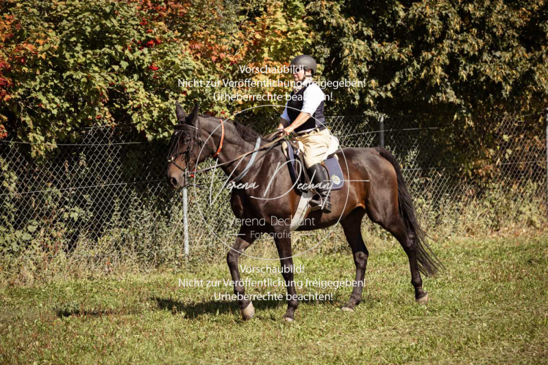 Schleppjagd_Gundelsdorf-44