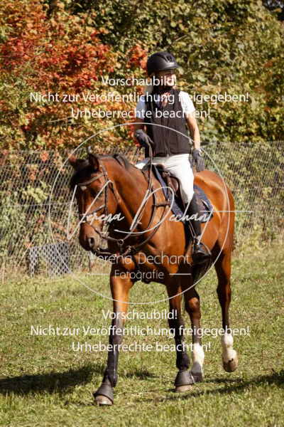 Schleppjagd_Gundelsdorf-47