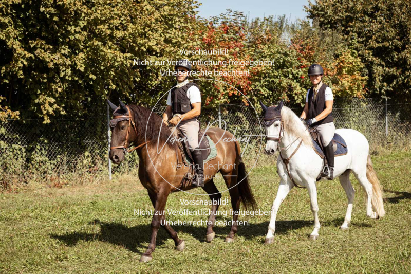 Schleppjagd_Gundelsdorf-55