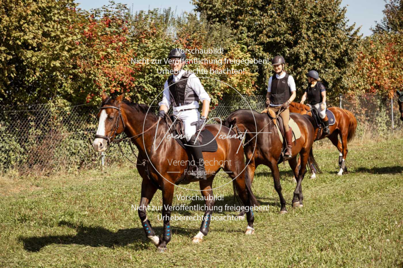 Schleppjagd_Gundelsdorf-56