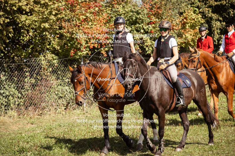 Schleppjagd_Gundelsdorf-58