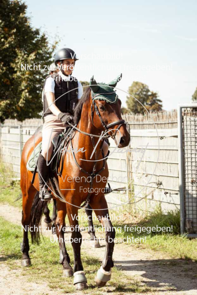 Schleppjagd_Gundelsdorf-68