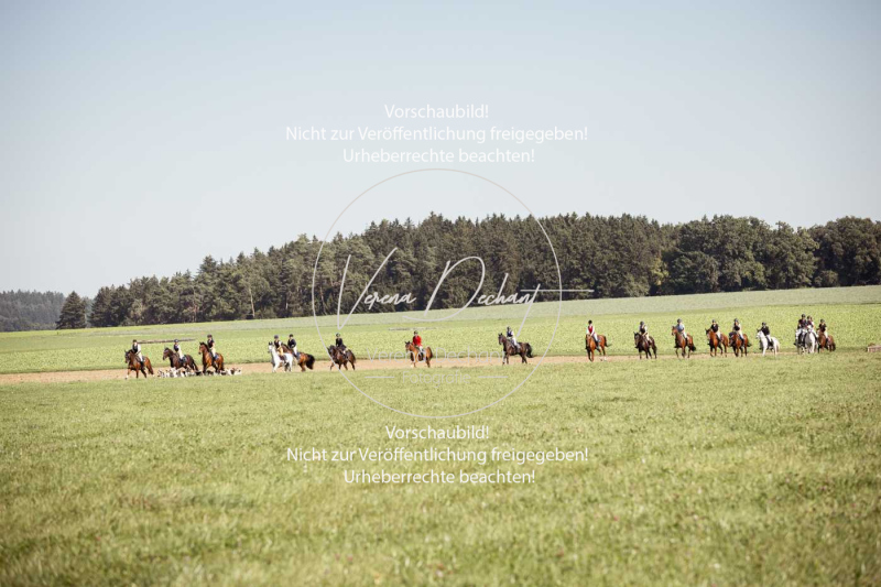 Schleppjagd_Gundelsdorf-84