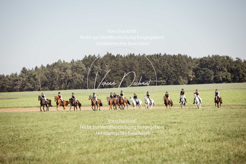 Schleppjagd_Gundelsdorf-85