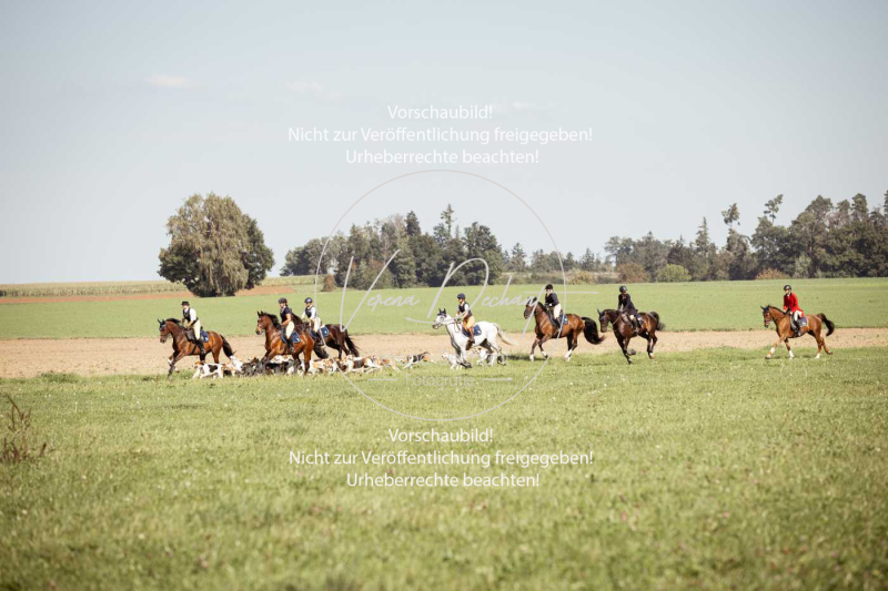 Schleppjagd_Gundelsdorf-86
