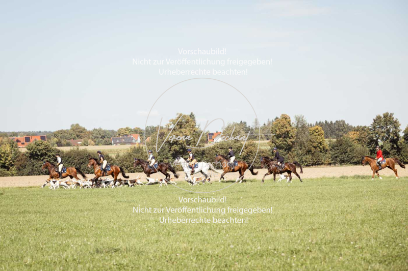 Schleppjagd_Gundelsdorf-89