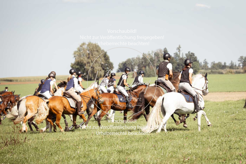 Schleppjagd_Gundelsdorf-92