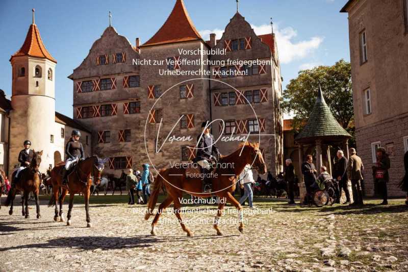 Schleppjagd Harburg 2023-022