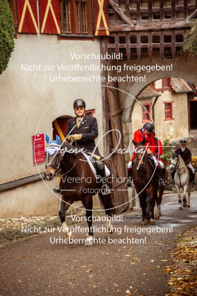 Schleppjagd_Harburg-006