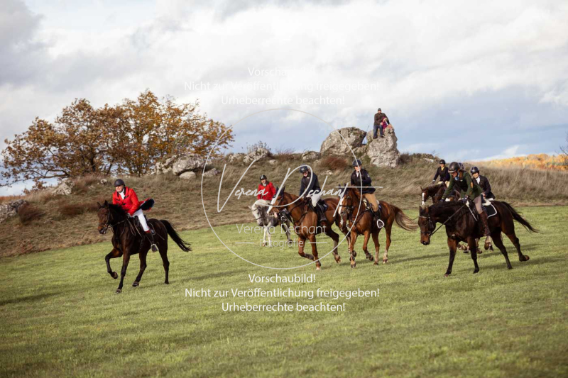 Schleppjagd_Harburg-013-2