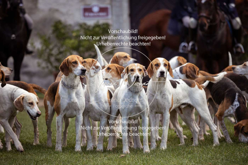 Schleppjagd_Harburg-021-2