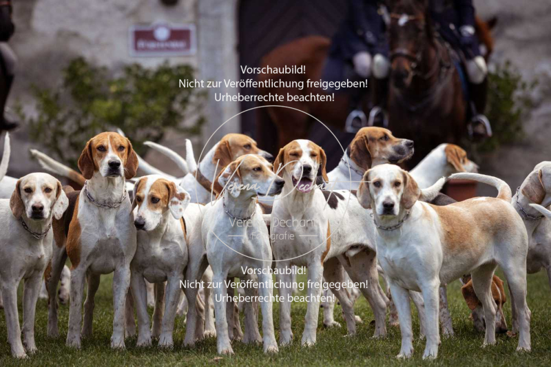 Schleppjagd_Harburg-024